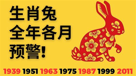 2024屬兔每月運勢|属兔人2024年全年整体运势及每月运势详解